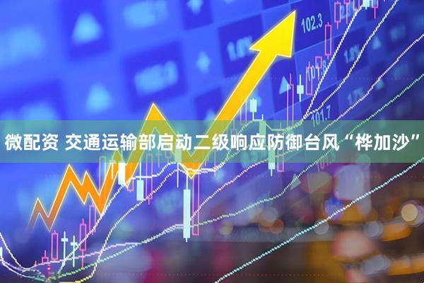 微配资 交通运输部启动二级响应防御台风“桦加沙”