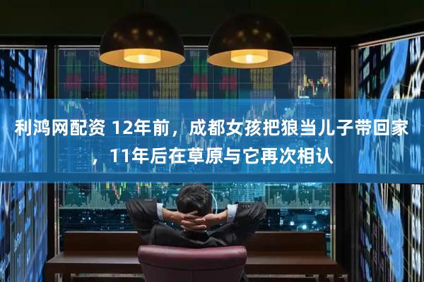 利鸿网配资 12年前，成都女孩把狼当儿子带回家，11年后在草原与它再次相认