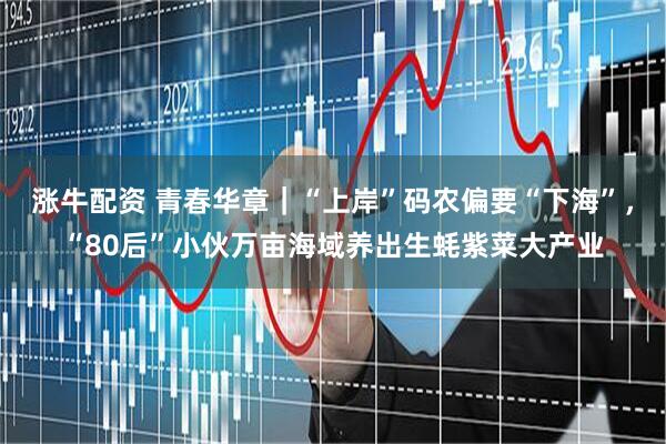 涨牛配资 青春华章｜“上岸”码农偏要“下海”，“80后”小伙万亩海域养出生蚝紫菜大产业