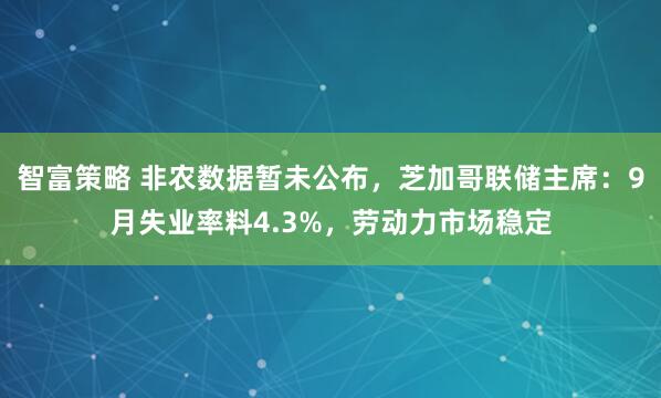 智富策略 非农数据暂未公布，芝加哥联储主席：9月失业率料4.3%，劳动力市场稳定